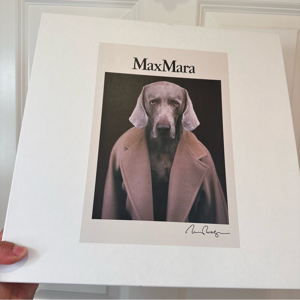 NWT MAX MARA X William Wegman Bacco Sweatshirt Size Small US4/6 Spring/ Fall - Picture 6 of 16